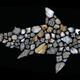 Un arrangement soigneux d'écailles de requin ou de denticules dermiques.
